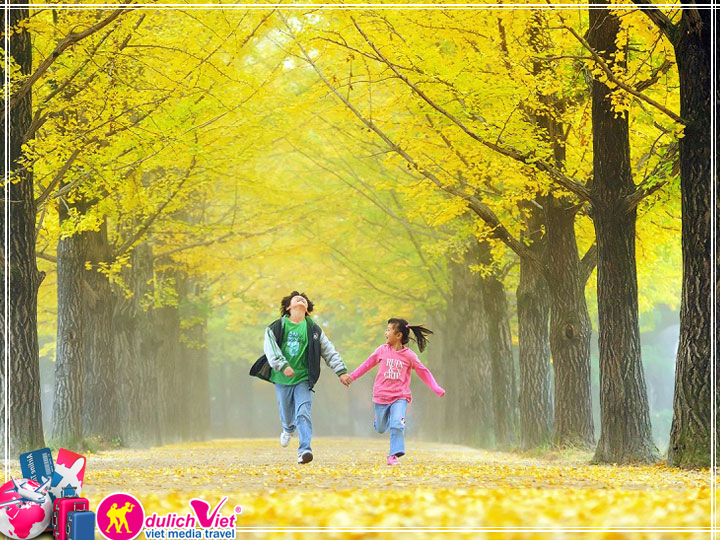 Du lịch Hàn Quốc mùa Thu 4 ngày 4 đêm giá tốt khởi hành từ Tp.HCM